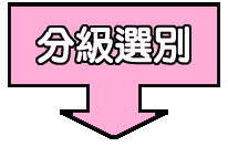 ���ſ�O